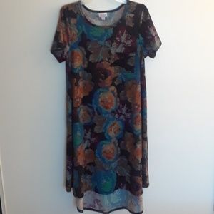 LuLaRoe Carly dress, M